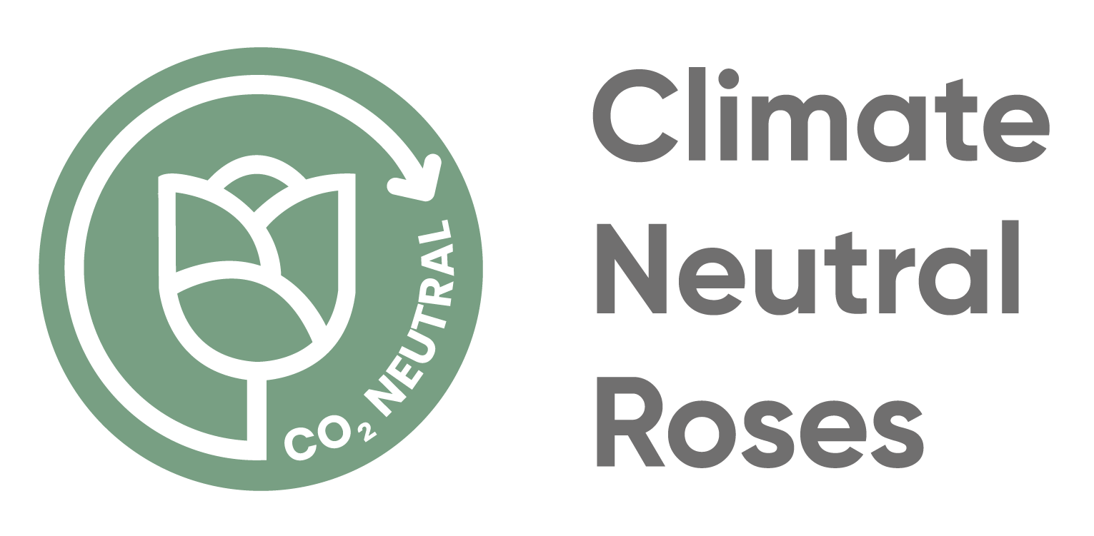 Climate Neutral Roses